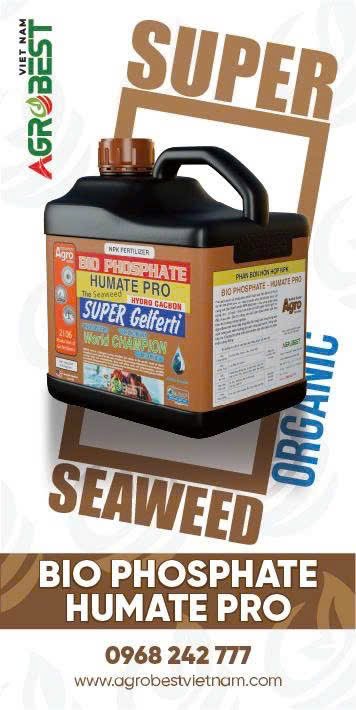 BIO PHOSPHATE HUMATE PRO