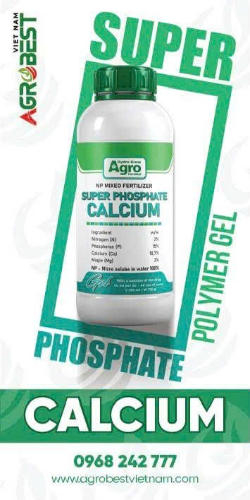 SUPER PHOSPHATE CALCIUM