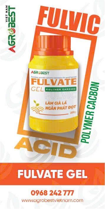 FULVATE GEL