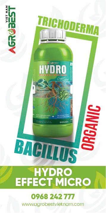 HYDRO EFFECT MICRO