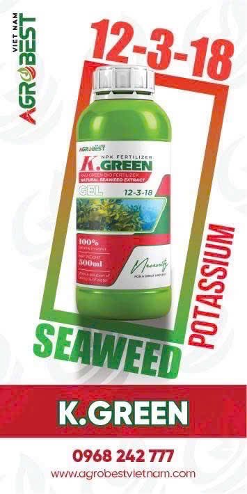 K.GREEN 12-3-18