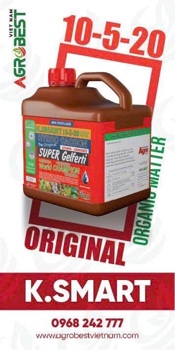 K.SMART 10-5-20