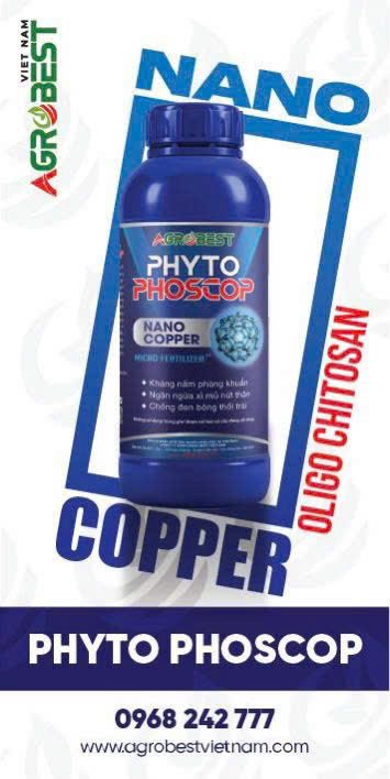 PHYTO PHOSCOP