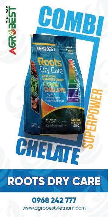 ROOTS DRY CARE